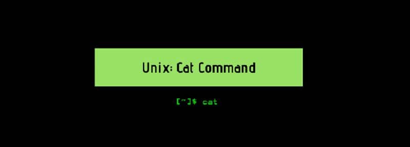 seleção da caixa de comando unix cat em fundo verde preto