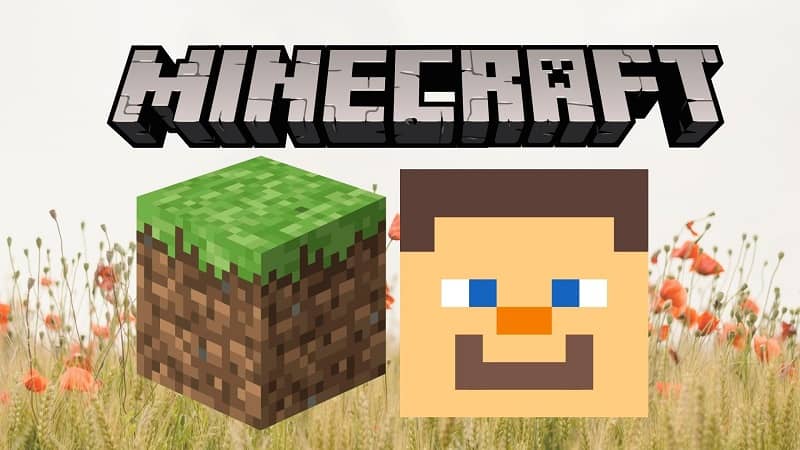 Ícone do Minecraft face de um personagem 