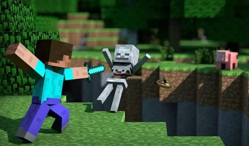 Steve e Minecraft Skeleton Fighting