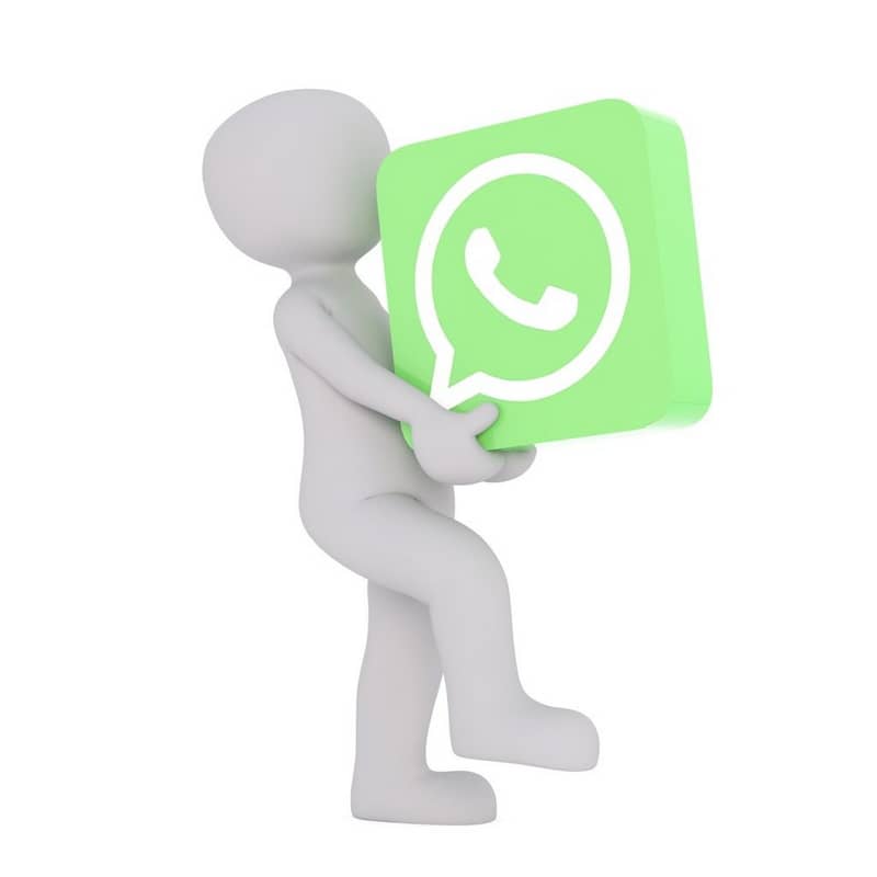 logotipo da pessoa Whatsapp 