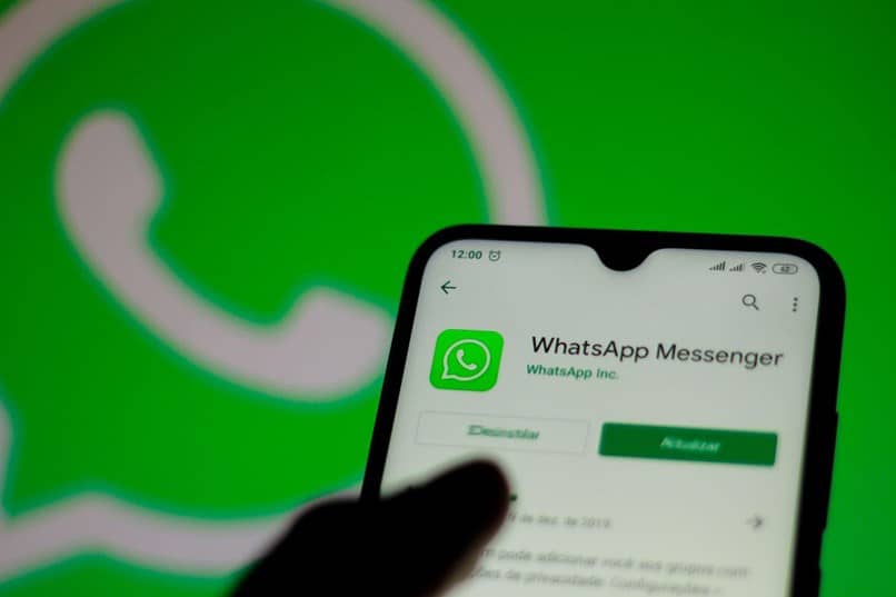 excluir dados do aplicativo WhatsApp do celular