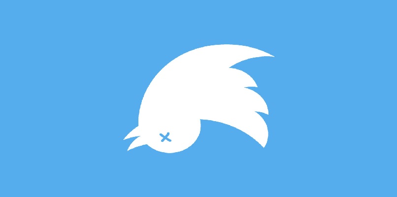 pássaro morto do twitter